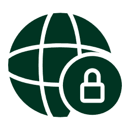 VPN logo